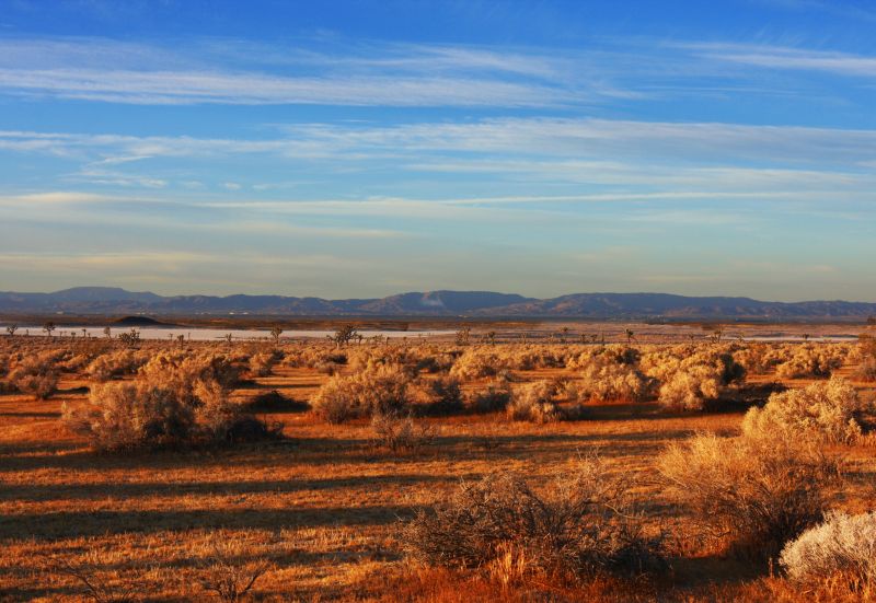 Mojave_Desert_National_Preserve_(4040289834).jpg